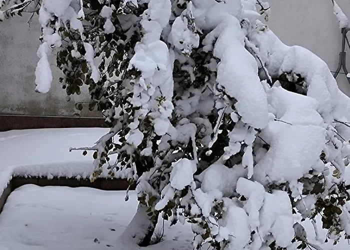 Tea House Appartement